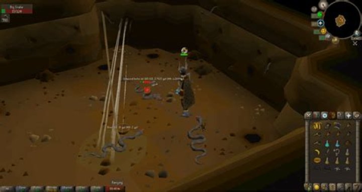 OSRS Snake Hide Guide: Locations, Uses, & Tips